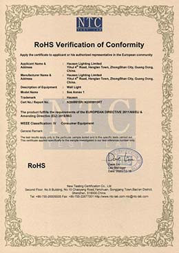 N2009915R-RoHS-certificate